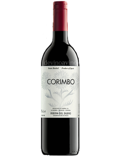 Corimbo 2022