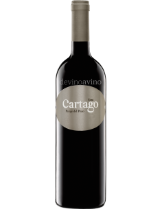 Compra Cartago Paraje del Pozo - San Román Bodegas | Devinoavino