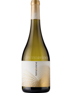 Nora Da Neve - Albariño con Crianza en Barrica | Devinoavino