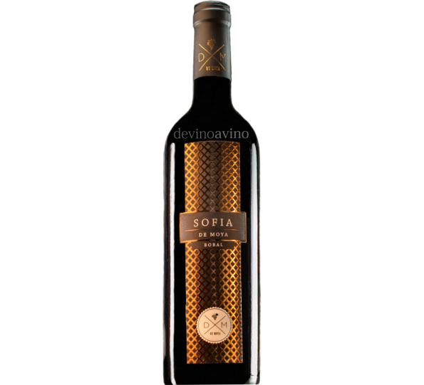 Sofía De Moya |  Un tinto potente y elegante  - Devinoavino