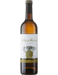 Antonio Montero Colleita - Blanco Joven DO Ribeiro | Devinoavino