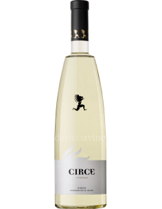Comprar Circe Verdejo de Avelino Vegas | Devinoavino