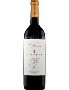 Valduero Una Cepa I 2020 - De Viñedos de Más de 50 Años | Devinoavino