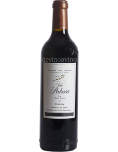Viña Pedrosa La Navilla 2019 | DEVINOAVINO