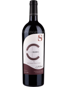 Dominio de Calogía Cuvée S - Ribera del Duero | Devinoavino