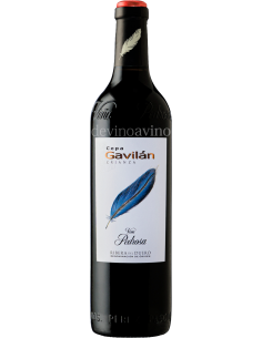 Cepa Gavilan Crianza 2022