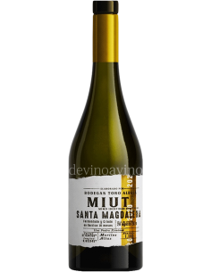 Comprar MIUT Santa Magdalena 2020 al mejor precio - Devinoavino