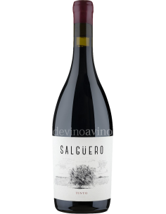 Comprar Salgüero Tinto 2018 | Devinoavino