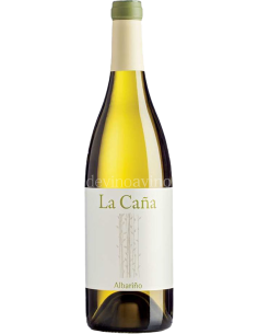 Albariño La Caña 2023 - Bodegas La Caña | Devinoavino