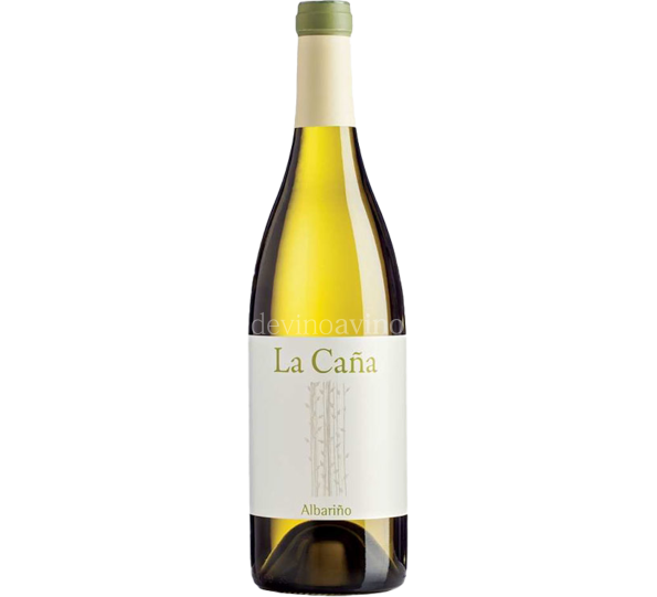 Albariño La Caña 2022 - Bodegas La Caña | Devinoavino