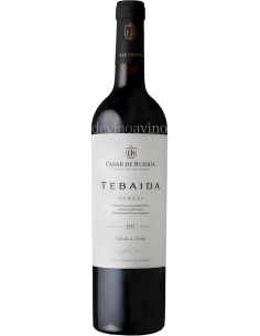 Tebaida 2019