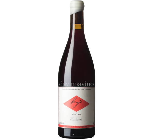 Envínate Benje Tinto - Vino Volcánico Fresco y Mineral | Devinoavino