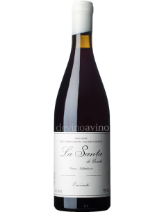 Envínate La Santa de Úrsula 2024 - Elegancia Atlántica | Devinoavino