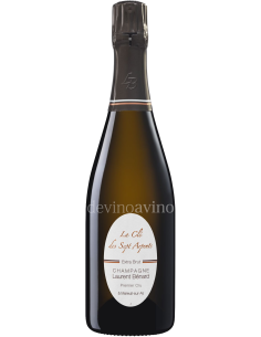 Champagne Laurent Bénard Cuvée Vibratis | Devinoavino