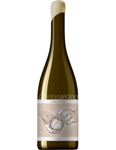 Carrasviñas Félix 2021 | Gran Vino de Rueda | Devinoavino