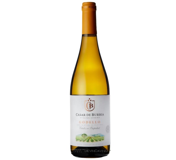 vino blanco del bierzo, Casar de burbia Godello