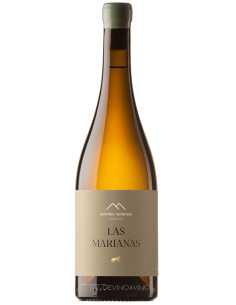 Vino Blanco De La Mancha