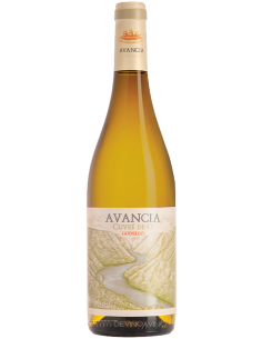 Avancia Cuvee de O Godello – Frescura gallega | Devinoavino