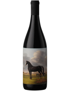 Comprar Vino tinto de Utiel Requeña