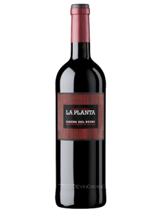 La Planta De Arzuaga 2023