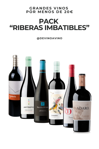 Grandes vinos de ribera por menos de 20€