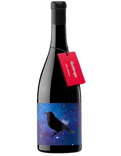 Viña Zorzal Golerga 2024 – Garnacha de Altura Navarra | Devinoavino