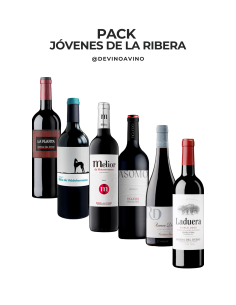 Pack Robles Ribera del Duero | 6 Botellas | Devinoavino