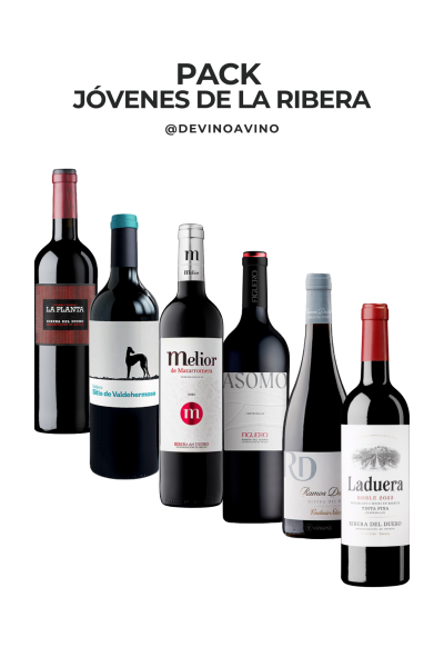 Pack Robles Ribera del Duero | 6 Botellas | Devinoavino