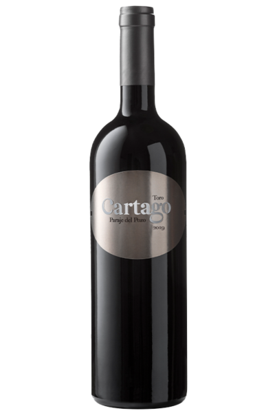 Cartago Paraje del Pozo Toro vino de parcela exclusivo | Devinoavino