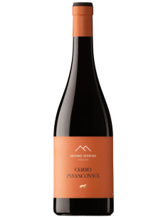 Vino tinto moderno con crianza en tinaja y roble – Devinoavino