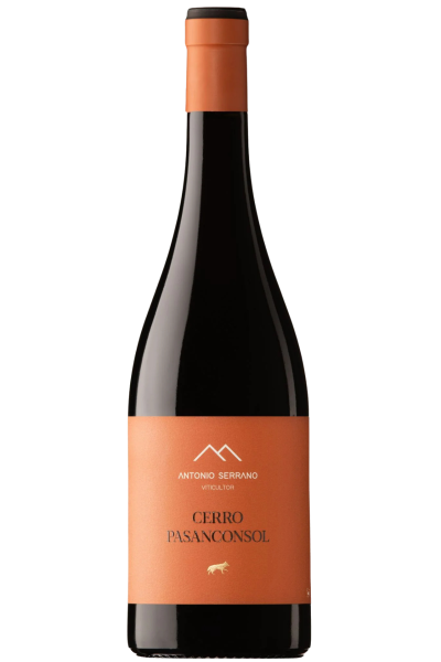 Vino tinto moderno con crianza en tinaja y roble – Devinoavino