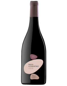 Arzuaga Pago Florentino Eco Vino de Pago – Devinoavino