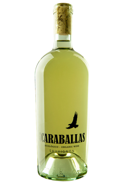 Sauvignon Blanc Ecológico Castilla y León | Devinoavino