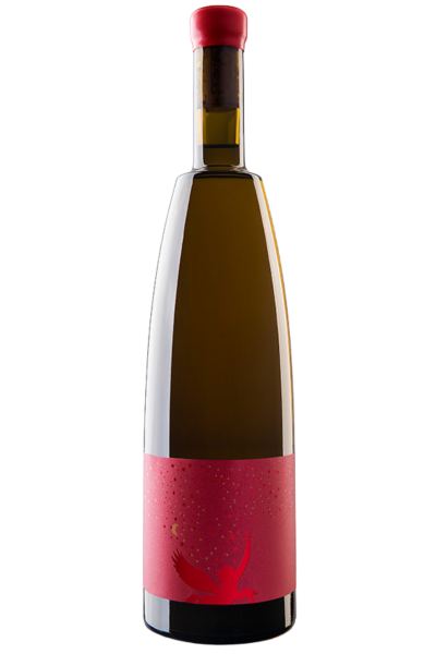 Equilibrio Verdejo Ecológico Barrica | Devinoavino