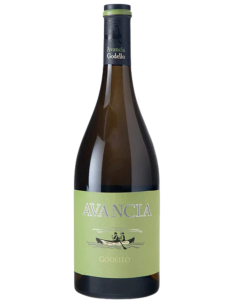 Avancia Godello - Mineralidad y Elegancia de Valdeorras | Devinoavino