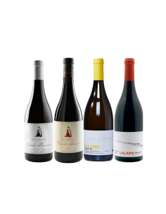 Pack Galicia Premium — Ribeira Sacra y el Bierzo | Devinoavino