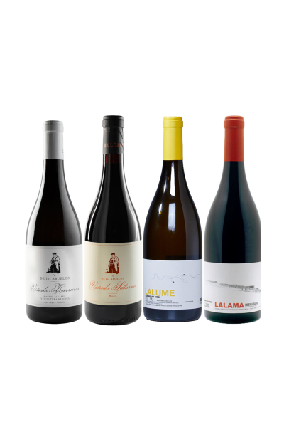 Pack Galicia Premium — Ribeira Sacra y el Bierzo | Devinoavino