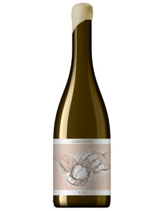 Carrasviñas Félix – Gran Verdejo de Rueda en Tinaja | Devinoavino