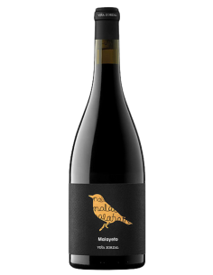 Viña Zorzal Malayeto Navarra | Devinoavino