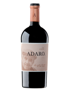 PradoRey Adaro | Vino Tinto Ribera del Duero | Devinoavino