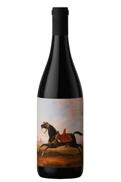 Allblack Garnacha Tintorera | Vino Tinto Almansa | Devinoavino