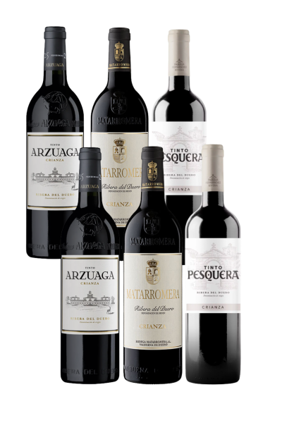 Pack Ribera del Duero para Carnes – 6 Botellas | Devinoavino