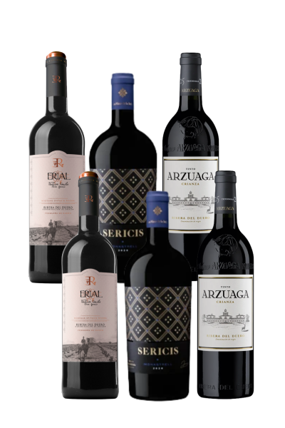 Pack Tintos Más Vendidos | 6 Botellas | Devinoavino