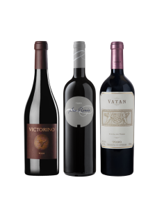 Pack Degustación Toro Premium | Devinoavino