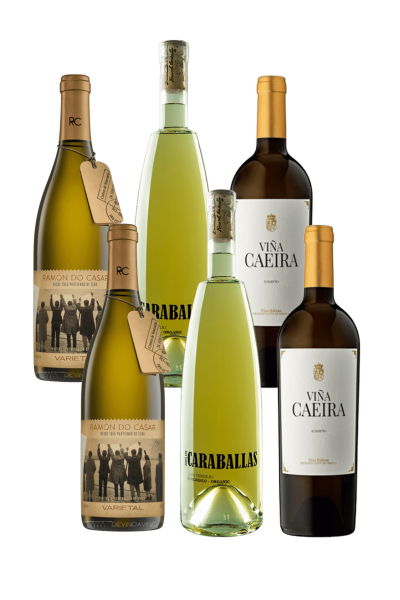 Comprar pack de blancos