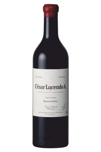 César Lucendo A VT Castilla | Devinoavino