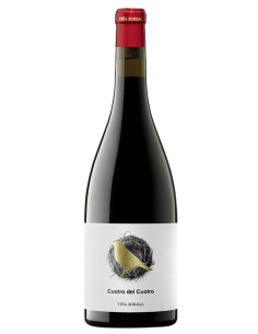 Cuatro del Cuatro Navarra | Devinoavino