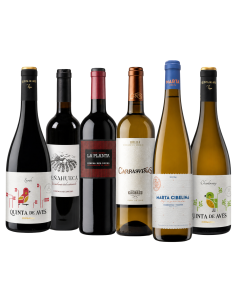 Pack Vinos para Todos los Días – 6 Botellas | Devinoavino