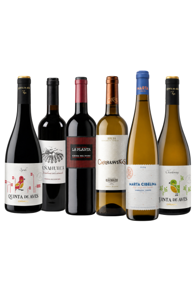 Pack Vinos para Todos los Días – 6 Botellas | Devinoavino