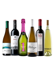 Pack vinos para el mundial de futbol